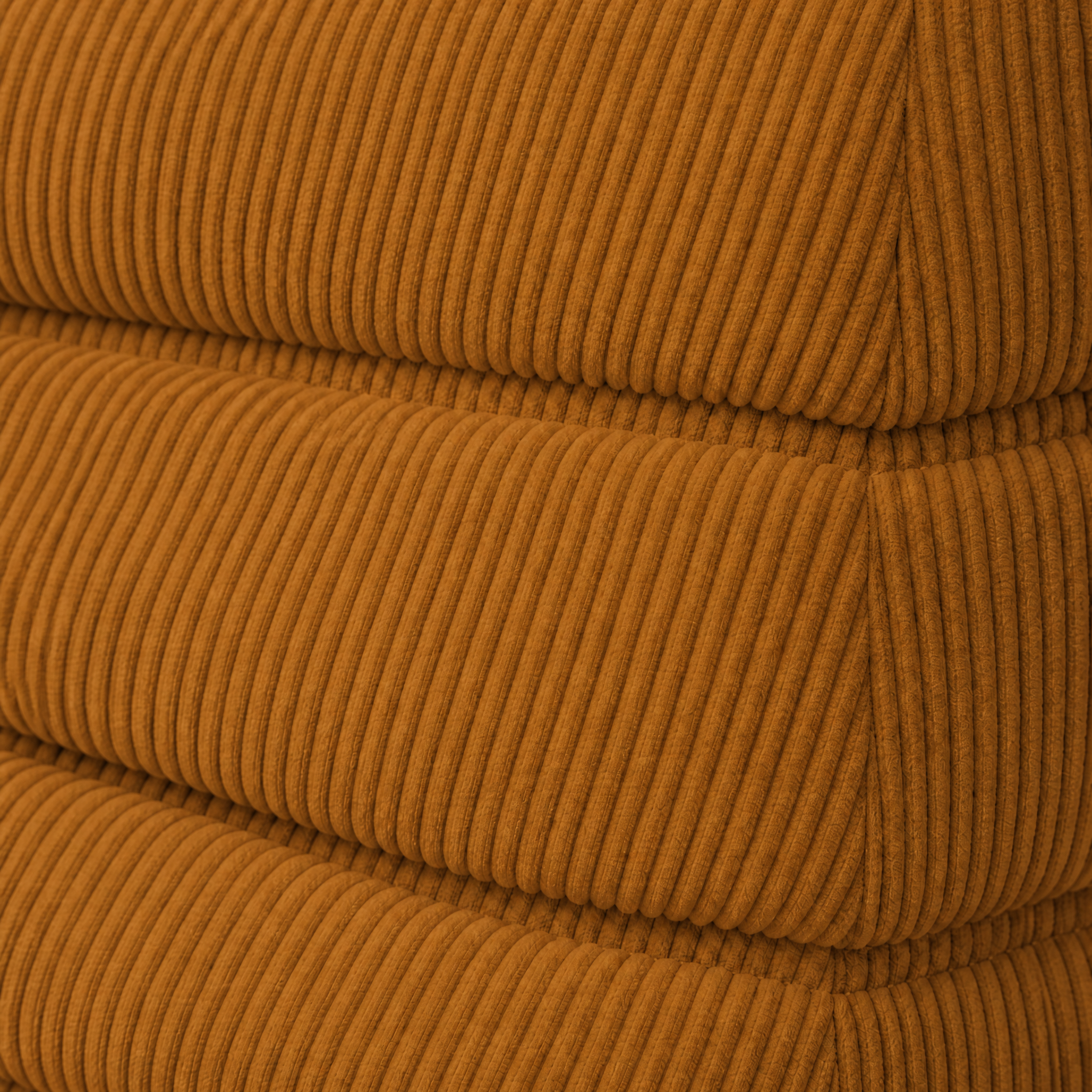 Chenille 1s
